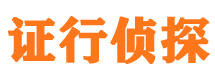 峰峰市侦探